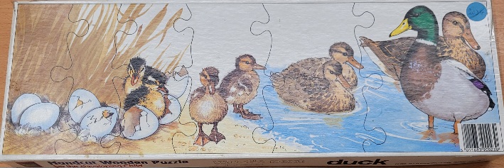 PUZZLE CANARD