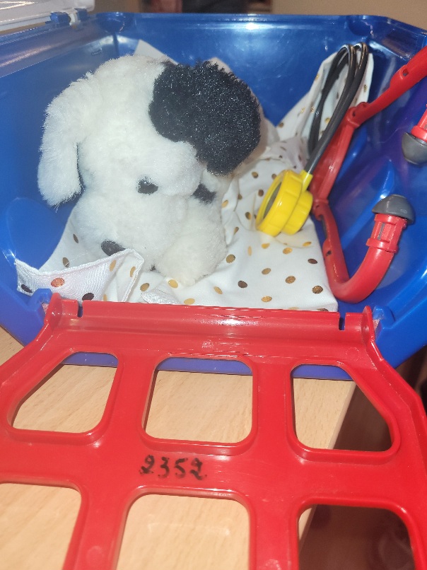 KIT DU VETERINAIRE