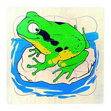 PUZZLE EVOLUTION GRENOUILLE