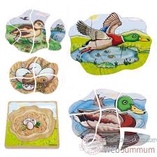 PUZZLE CANARD