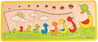 PUZZLE FAMILLE CANARD