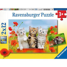 PUZZLE CHAT COQUELICOT